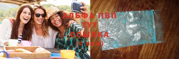 стаф Кинешма